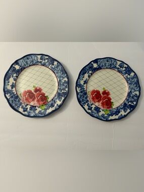 Pioneer Woman 10.5" Heritage Floral  Dinner Plate Set of 2